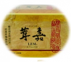 ���ȱ��Ϥϵ����������롪��