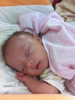 �������Ǹ������֤��������������